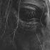 Dont Ruin My Dreams Byona Mix