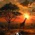 Sam Sparacio Gifted Fire Good Morning Fleanger Remix Cafe De Anatolia
