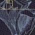 Dekel Fibonacci Full EP
