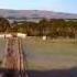 Cow S On A Frosty Morning South Otago