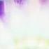 Ilya Malyuev Sunshine Flowers Music Video Chill Out Downtempo Peace Soulful Awakening