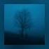 Antent Vowl Drowning Edit Slowed Reverb