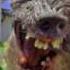 SOUND EFFECT DERANGED WOMAN SCREAM