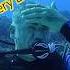 Remove And Replace The Mask Underwater
