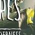 LITTLE NIGHTMARES II SONG The Wilderness By Alpha25 Feat Senchu Lyric Video