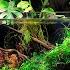 How To Make A ZERO Maintenance ECOSYSTEM Aquarium FULL BUILD