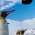 New Ambient Music 2019 Relax Mix MAY
