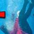 Don T Ever Trust What You See Jumping On Trampoline Into The Pool