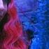 Descendants The Rise Of Red Red And Chloe S Friendship Journey Compilation Disneychannelmusic