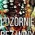 Pozornie Bez Winy Autor Paulina Medyńska Kryminały Po Polsku KSIĄŻKA AudioBook PL