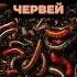 НИКОГДА НЕ ЛОВИТЕ НА ЧЕРВЕЙ пока не посмотрите это ВИДЕО рыбала насадкадлярыбалки рыба червяк