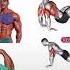 Full Body Stretching Exercises For Men Gym Motivation Gymworkout Exercise Shoulder Music Phonk