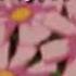 Bae Meme Gacha Life Gift For Pastel Cookie
