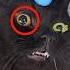 Strange Gel In Cat S Eyes