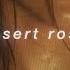 Love Me Like A Desert Rose Lolo Zouaï Slowed Reverb