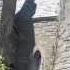 Webby Is In Massachusetts Hammond Castle Boat Ride