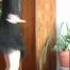 Matryoshka Dance Tutorial Part 1