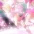 MAD Pretty Cure All Stars DX 3 Opening Winx Rising Up Together