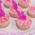 Bridget S Flamingo Feather Cupcakes Decsendants Rise Of Red