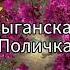 цыганская полька ваня дэхэнко NEW 2023 цыганские песни