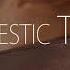 Anthony Perri Feat Varsha Vinn Bring You Home Original Mix