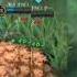 MLBB AMV Renegades Taw Mylky M I M E
