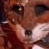 Fox Sings Hey Look Ma I Made It By Panic At The Disco The Masked Singer Season 2