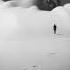 The Self Escape Tessellate Audio