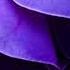 Beyoncé Partition Amorphous Remix