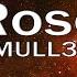 Mull3 Rose Lyrics