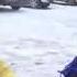 Замартыновские гармонисты И Гладышев и П Прохоров с гармонью и пляской 2015 г Запись В Ланских