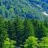 Wonderfull Chill Out Music Love Session On Amazing Vijay Manali