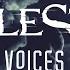 ALESTI Voices Feat Loveless
