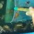 Fishing Time Tiktok Asdfg9909