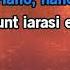 Dragostea Din Tei