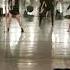Stay Frosty Royal Milk Tea Stephenie Kunz Choreography