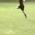 Technica Football The Official Music Video Allez Allez Allez
