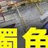 空中獨角獸 史上第一次由中國人定義的戰機世代 一週軍事雜談精華 邱世卿