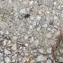 Biggest Gravel Driveway Mistake People Make Graveldriveway