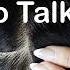 ASMR 1 HOUR Soft Tender Scalp Check Sleep Study Focus NO TALKING Just Sounds