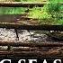 Dan Gibson S Solitudes Give Me Your Hand Celtic Seashore