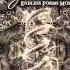 Nightwish The Greatest Show On Earth