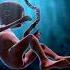 Womb Sound Green Noise Black Screen No Ad For Colic Focus Study Sleep Tinnitus Relief Relaxation