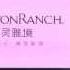Introducing Canyon Ranch To Asia Part 2