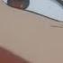 In Heat But It S Actually Suicide Year 8D Audio