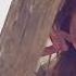 Video Clib ANAS OTMAN Paradise Love TRAVEL DRONE STUDIO PRODUCCION