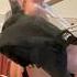 My Male Friend Tickles My Feet With A Hairbrush Feet Barefoot Toes