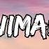 Maroon 5 Animals Lyrics Ed Sheeran Sia Imagine Dragons Animals Lyrics