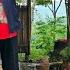 The Evil Woman Is Plotting To Kick Lien And Phong Out Of The Farm Will They Become Homeless