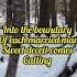 Elton John Sacrifice Heartfelt Lyrics With Scenic Beauty Oldsong Shorts Eltonjohn